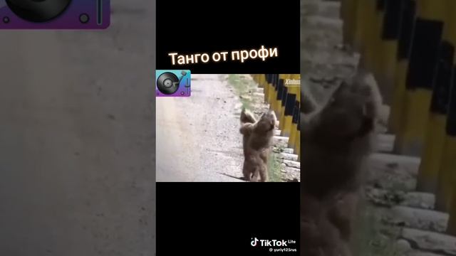 VID-20231204-WA0002.mp4