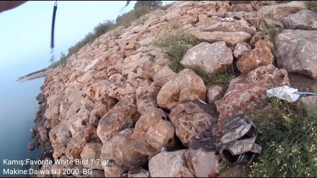 Light Rock Fishing (LRF) Levrek/Kayış/Turna Avı(Seebass)/Ultra Light 09.05.2018 смотреть онлайн