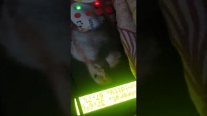 Подключение аккумулятора к инкубатору