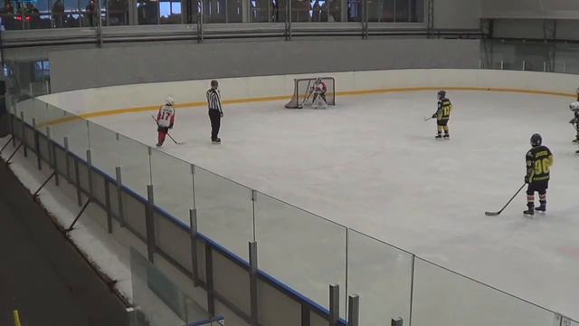 Стрижи 1 VS Ледяные Львы 29/11/2020 смотреть онлайн