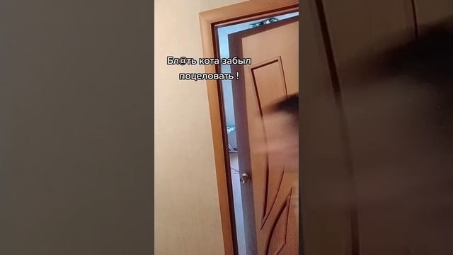 Когда забыл кота поцеловать смотреть онлайн