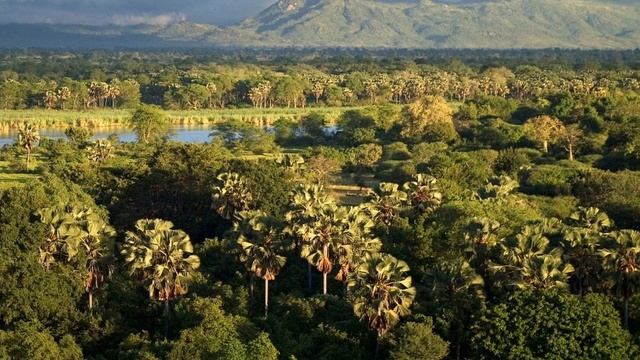 5-Гидрокситриптофан 100 мг (5-HTP 100 Mg) NutriCare