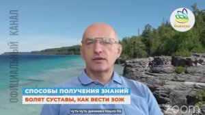 БОЛЯТ СУСТАВЫ, КАК ВЕСТИ ЗОЖ. Олег Геннадьевич Торсунов