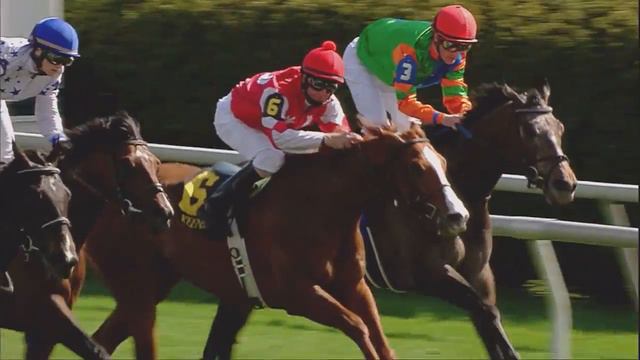 Introducing War Dancer смотреть онлайн