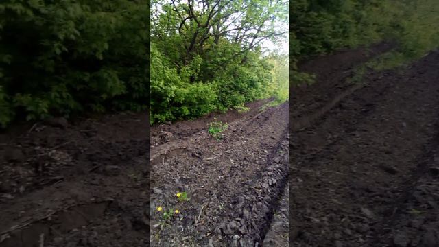 Противопожарная полоса смотреть онлайн