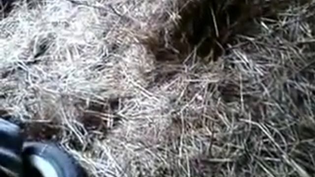 Содержание ужа смотреть онлайн