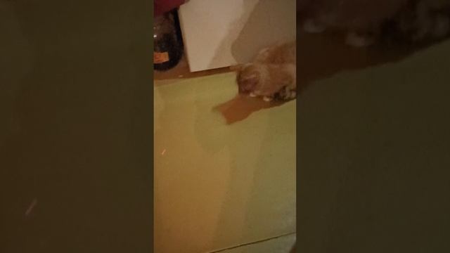 VID_20230331_212753.mp4 смотреть онлайн