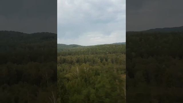 Природа России. От Волгограда до Когалыма смотреть онлайн