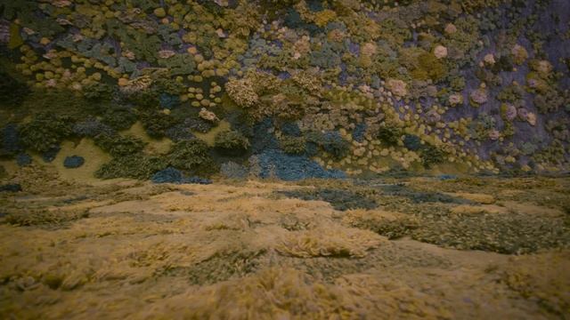 NGV Triennial | Alexandra Kehayoglou смотреть онлайн