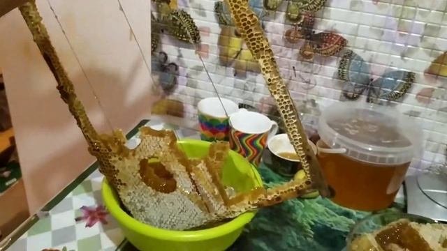 Они могут уничтожить целую пчелосемью. Моль в сотах с медом. смотреть онлайн