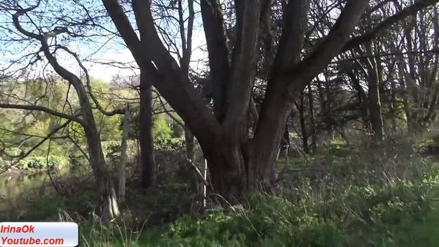 No66. Жизнь в Англии.Привет от англичан, Как разговаривать на английском в Англии смотреть онлайн