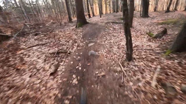 Downhill short cut | mountain Bike | Freeride | | MTB смотреть онлайн