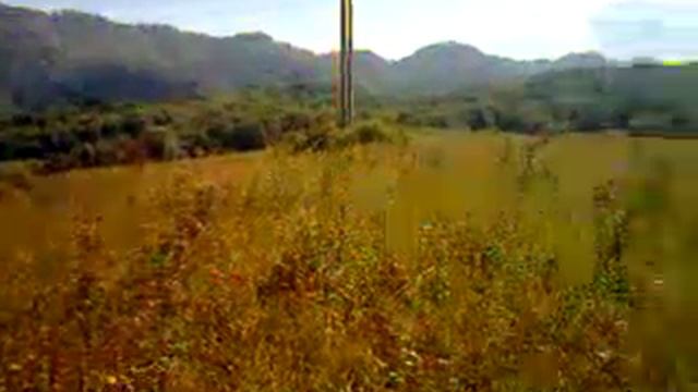 Video 0 02 05 687b98dcf6dc9253232be22291b2162704ca33eb92ac6be292e8c70d5d071238 V 1