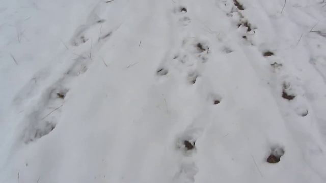 ЗИМНИЙ КОП (не полицейский) смотреть онлайн