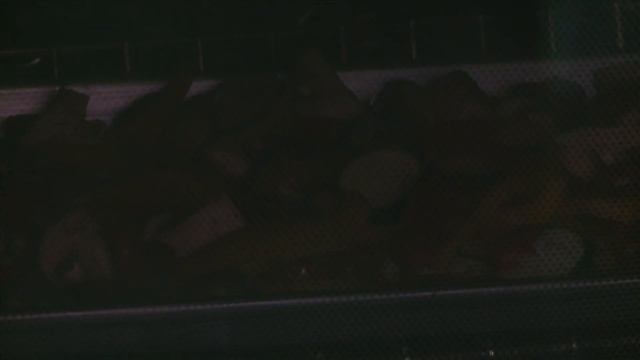 Кулинарная фантазия