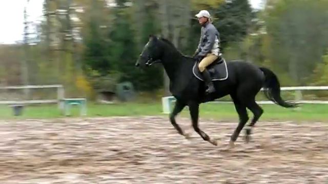 Чёрная кобыла3 смотреть онлайн