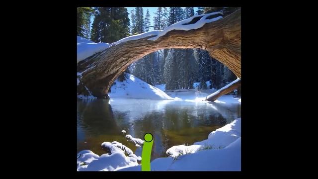 NVIDIA’s Windows 11 CES Highlights смотреть онлайн