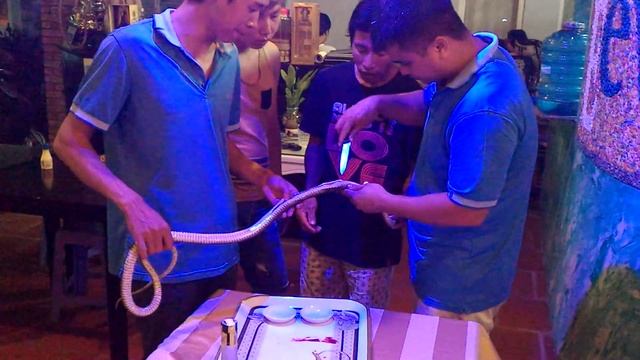 Приготовление блюда из змеи во Вьетнаме смотреть онлайн