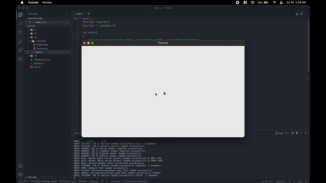 Rendering Textures and Playing Audio in Raylib смотреть онлайн