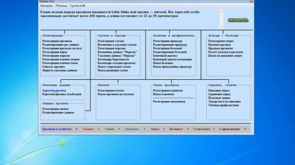 Rabbit V1.0.3 как работать