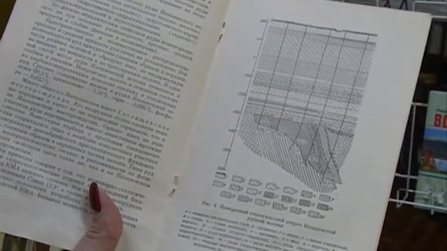 Библиотекари продолжают реализацию проекта «80 книг — 80-летию Губкина» смотреть онлайн