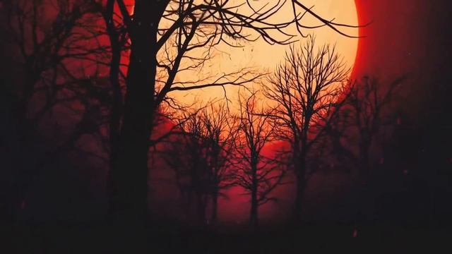 Расскажи (стих под музыку) смотреть онлайн