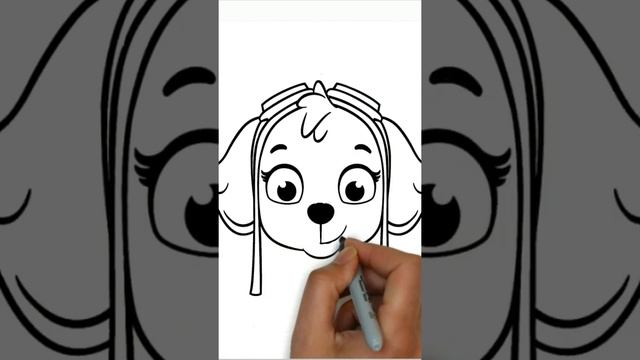 #shorts Щенячий патруль Скай рисунок раскраска, как нарисовать собачку Скай из мультика про собак смотреть онлайн