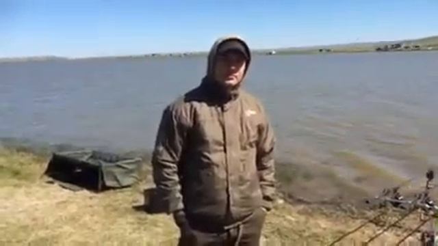 31 регион смотреть онлайн