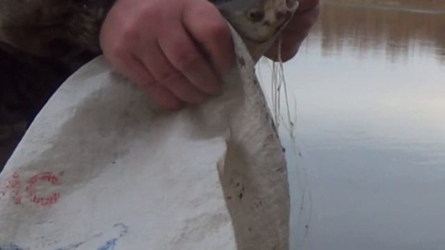 Закрытие сезона жидкой воды октябрь 2022 года. смотреть онлайн