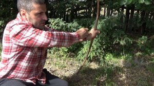 Какие луки были у индейцев. Зависит ли эффективность лука от его внешнего вида.
