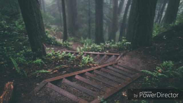 Lyric Video- Take A Slice by Glass Animals смотреть онлайн