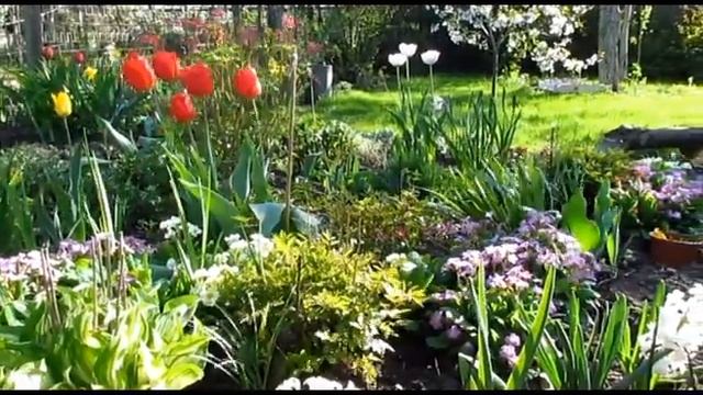 Весна Дачный.mkv смотреть онлайн