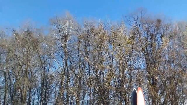 Ожившая картина Саврасова "Грачи прилетели".Animated picture of Savrasova "Rooks have arrived" смотреть онлайн