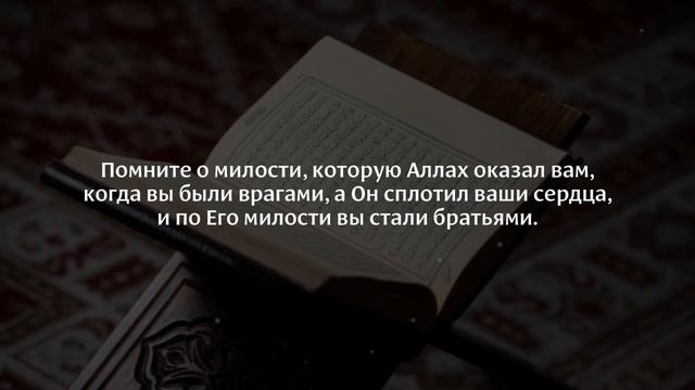 Абу Хаджар Аль Ираки. Сура 3 «Алю Имран» (Семейство Имрана) смотреть онлайн