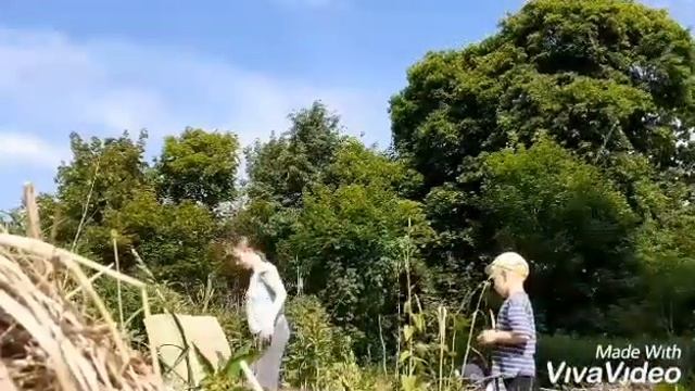 как быстро очистить поле от крапивы без косилки. смотреть онлайн