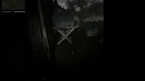 Stalker Возвращение Шрама Часть 2 [Прогулка на Болотах]