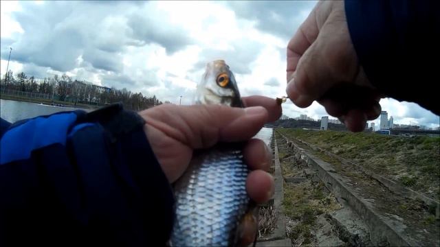 Рыбалка на Гребном ч.4.(последняя) смотреть онлайн