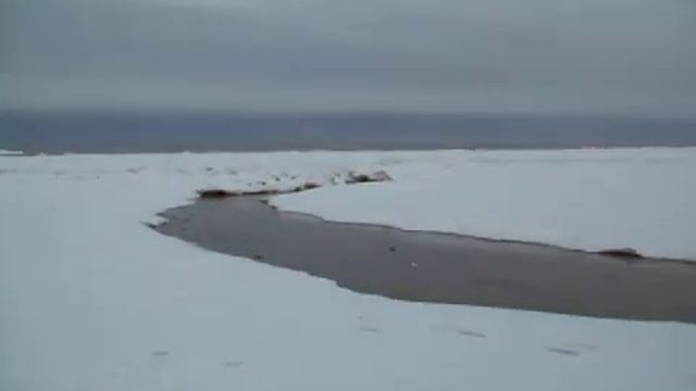 27.12.2010г.15:40час.,-7-8*С.Латвия,г.Юрмала.Jurmala,Letland/Latvia . смотреть онлайн