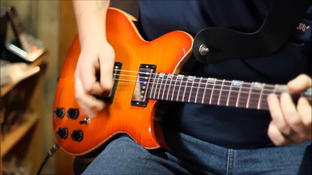 Blues Jam Washburn Idol USA Custom Shop