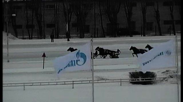 ЦМИ 10.02.19 9 заезд смотреть онлайн