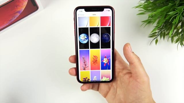 iPhone XR - It's A Winner! смотреть онлайн