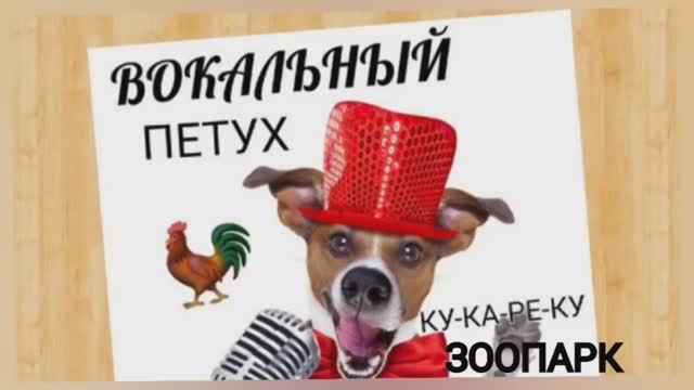 Вокальный ЗООПАРК?ПЕТУХ?Соединяем Грудной и Головной регистр? смотреть онлайн