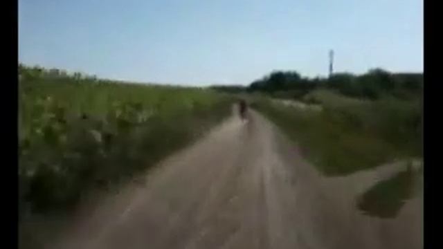 погоня за нашими детьми смотреть онлайн