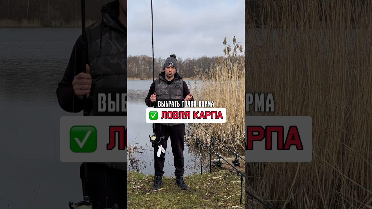 НЕЛЬЗЯ делать такое расстояние между кормами, ловя карпа #карпфишинг смотреть онлайн