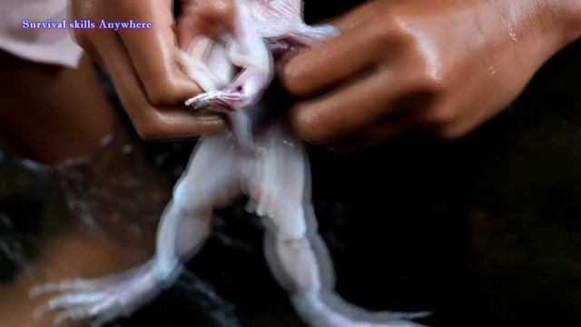 Survival Skills: Catch two Frog for Food in the Forest - Cooking Frogs fry and Eating delicious #60 смотреть онлайн