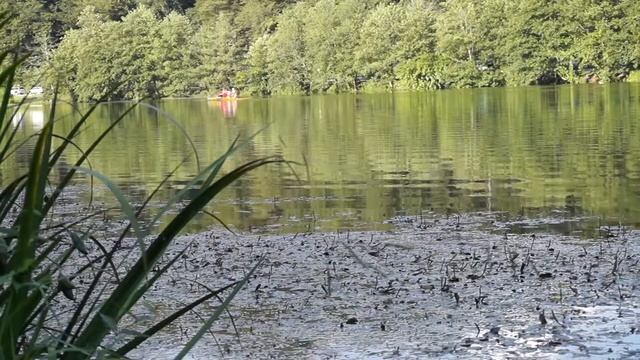 Рыбалка Краснодарский край. Барановское озеро смотреть онлайн