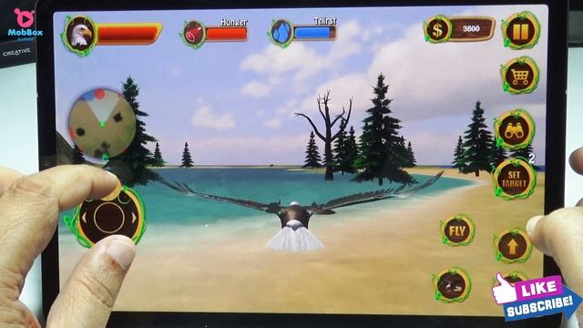 Furious Eagle Family Simulator - Eagle Wild Life Survival RPG Game Ultimate Bird Android Gameplay #