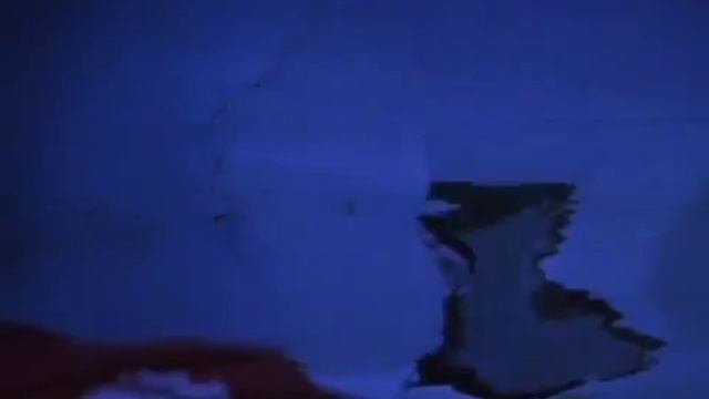 Кошачий глаз / Cat s Eye 1985 трейлер смотреть онлайн