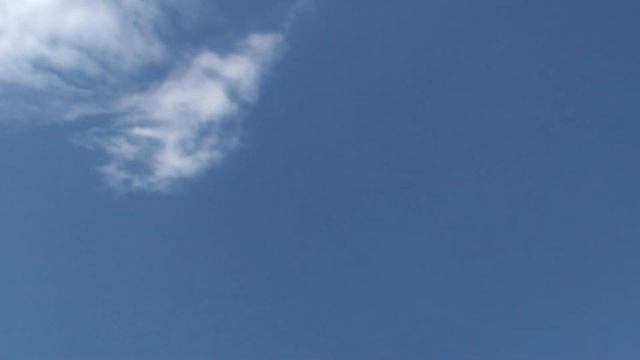 Голуби и сладкий стол.29.07.20. смотреть онлайн