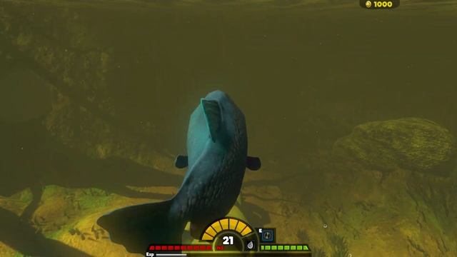 Feed And Grow Fish : Piranha смотреть онлайн